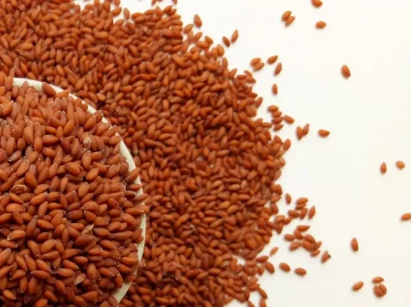 فوائد حب الرشاد للجسم وطريقة استخدامه